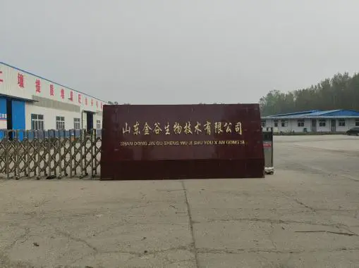 公司外观